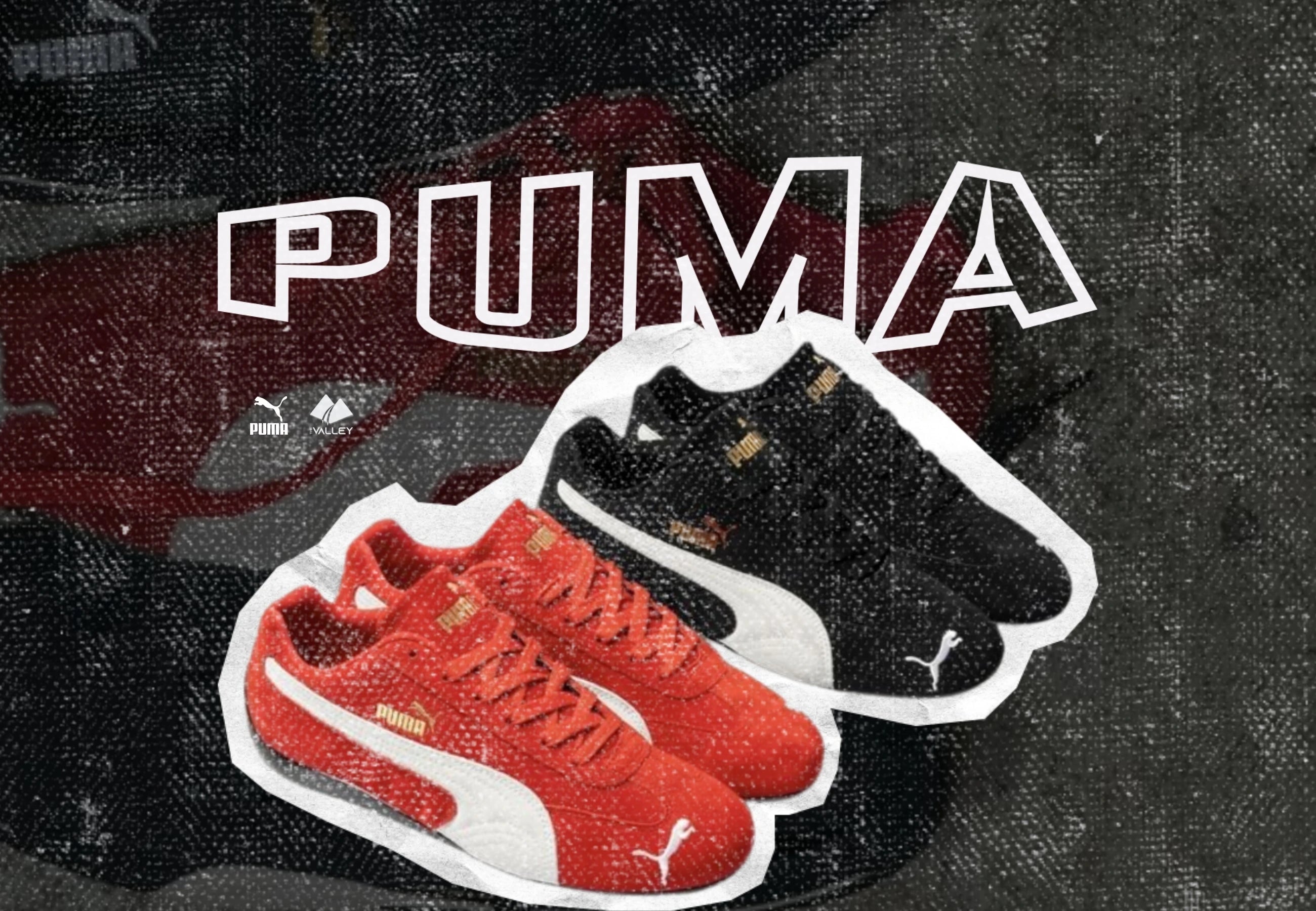 Puma