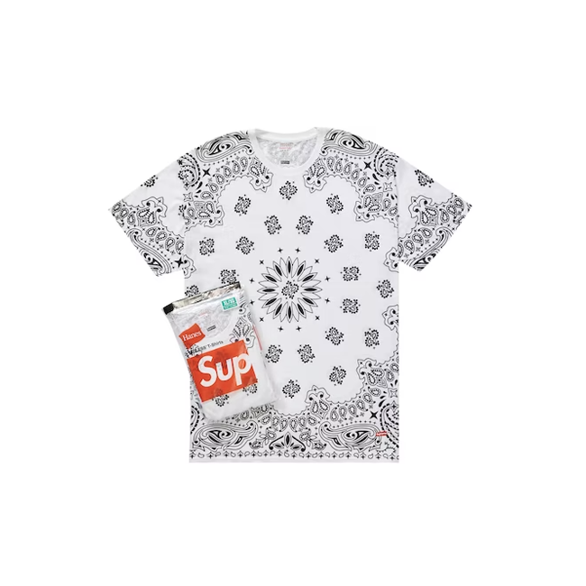 Hanes best sale supreme tee