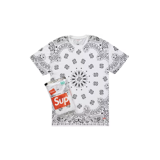 Supreme tee hanes tagless white | The Valley Store PH